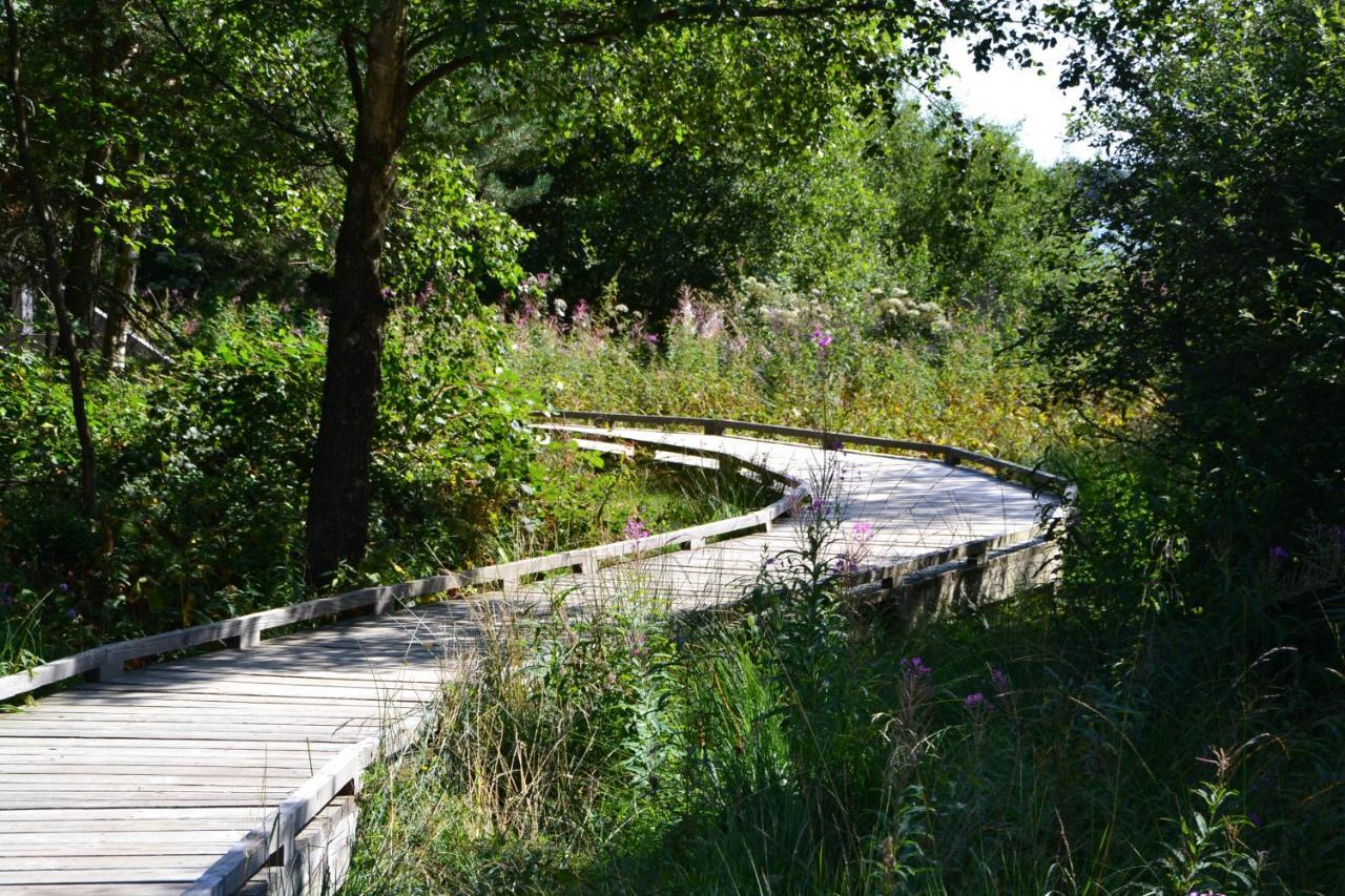 Manoir Du Grail Bed and Breakfast Devesset Exteriör bild